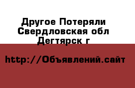 Другое Потеряли. Свердловская обл.,Дегтярск г.